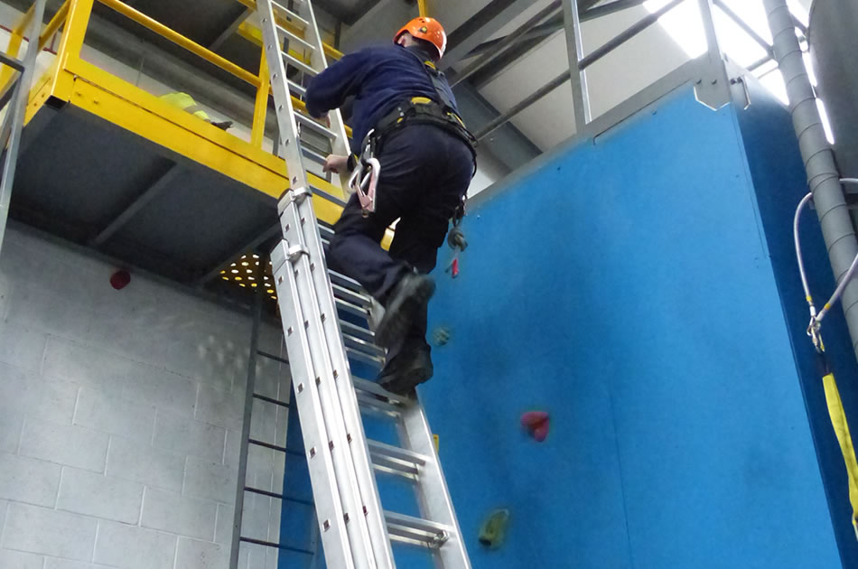 Leaning Ladder And Stepladder Training Course